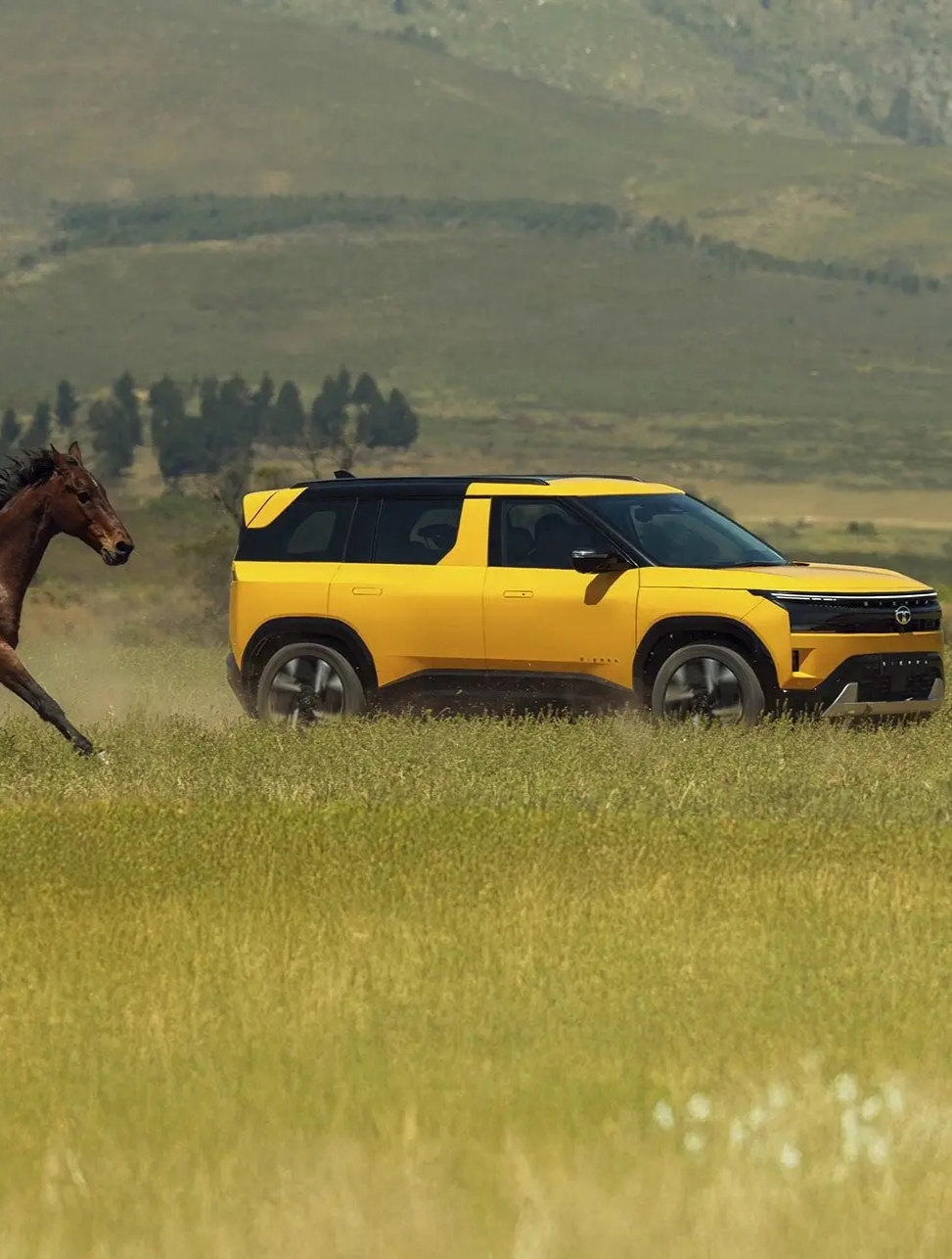 Tata Sierra all variants prices revealed starting from (Rs11.49Lakhs – Rs17.99Lakhs in Petrol version) & (Rs12.99Lakhs-18.49Lakhs in Diesel version)